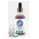 indian-pipe-ghost-plant-based-complete-w-5.jpg
