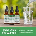 nutramedix-brain-support-bundle-includes-6.jpg