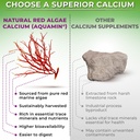supplements-studio-daily-immune-bone-ene-6.jpg