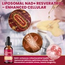 magnesium-glycinate-liquid-liposomal-nad-6.jpg