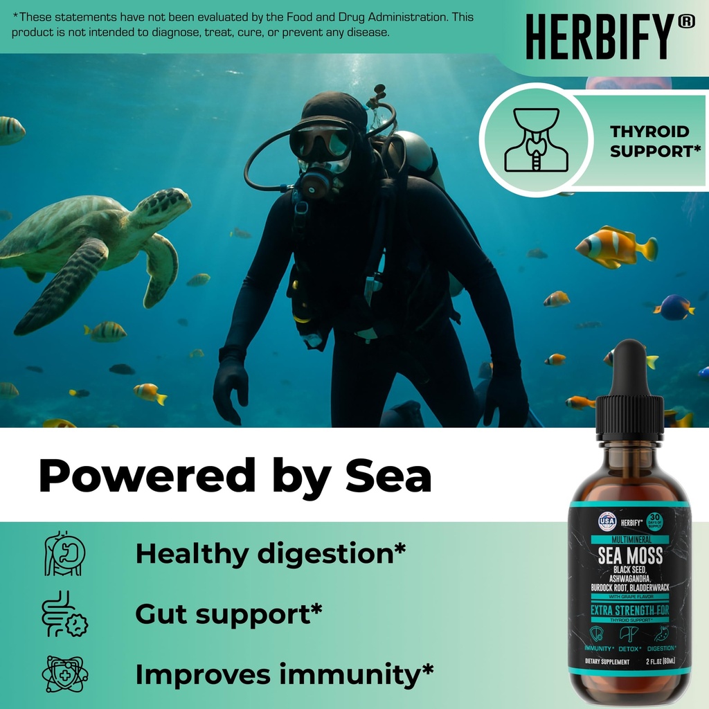 herbify-bundle-mullein-leaf-extract-sea--3.jpg