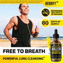 herbify-bundle-mullein-leaf-extract-sea--4.jpg