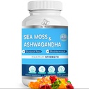 bio-vitalica-bundle-sea-moss-elderberry--4.jpg