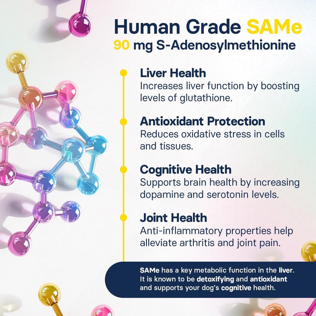 liver-health-supplement-for-small-dogs---5.jpg