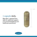 euromedica-cognitive-health-plus-healthy-4.jpg