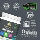 creatine-monohydrate-powder-micronized-p-3.jpg