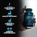 huge-supplements-turkesterone-ecdysteron-6.jpg