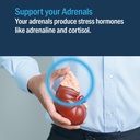 advanced-bionutritionals-advanced-adrena-3.jpg