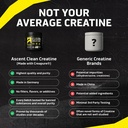 ascent-clean-creatine-monohydrate-powder-3.jpg