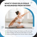 nad-boosting-trans-resveratrol-turmeric--2.jpg