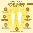 omnibiotics-liver-cleanse-detox-repair-s-4.jpg