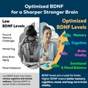 nootropic-brain-supplement-for-memory-an-3.jpg
