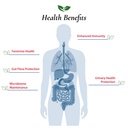 foods-for-gut-lactobacillus-crispatus-pr-4.jpg