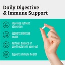 prebiotics-and-probiotics-lactobacillus--2.jpg