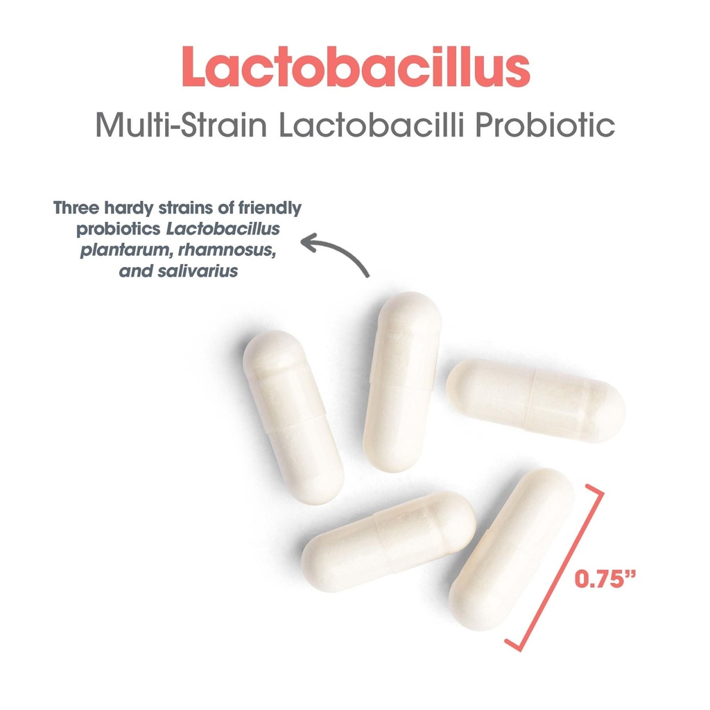 allergy-research-group-lactobacillus-sup-5.jpg