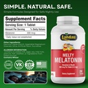 landau-melty-melatonin-fast-dissolve-tab-6.jpg
