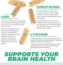 dynamism-labs-ai-brain-booster-nootropic-6.jpg