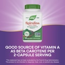 nature-s-way-spirulina-micro-algae-seaso-4.jpg