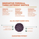 align-probiotic-3-in-1-biotic-gummies-pr-3.jpg