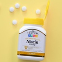 21st-century-niacin-250-mg-tablets-110-c-4.jpg
