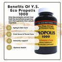 y-s-organic-bee-farms-propolis-raw-unpro-4.jpg
