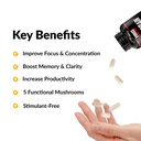 force-factor-forebrain-focus-brain-boost-2.jpg