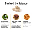 force-factor-forebrain-focus-brain-boost-3.jpg