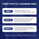 vital-nootropic-12-in-1-brain-supplement-4.jpg