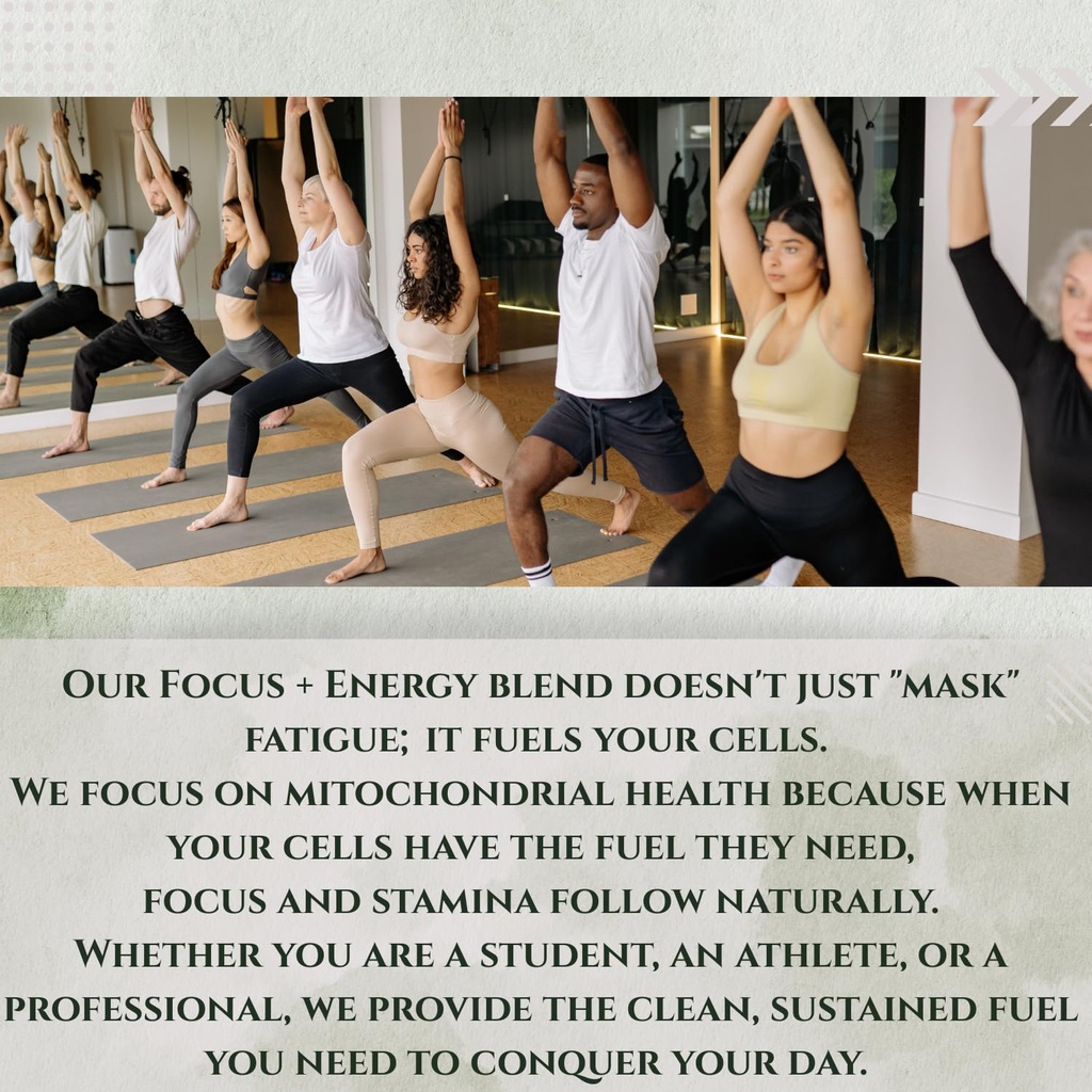 focus-energy-performance-support-6-in-1--3.jpg