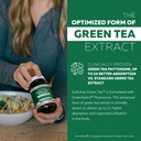 soactive-green-tea-extract-clinically-st-2.jpg