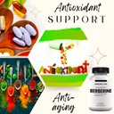 research-labs-2-fer-1-ad-1500mg-clinical-5.jpg