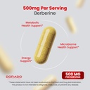 berberine-supplement-500mg-per-serving-6-4.jpg