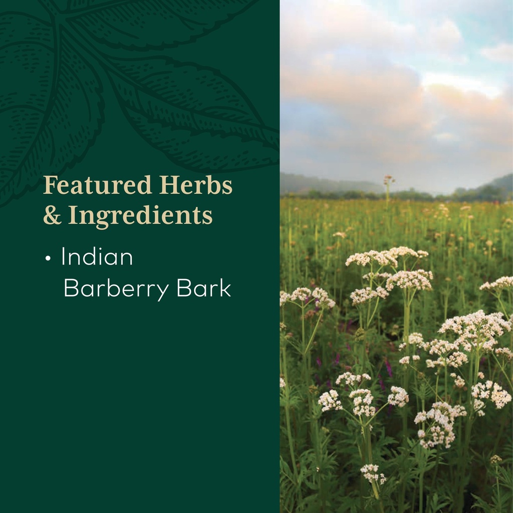 gaia-herbs-pro-berberine-metabolic-suppl-4.jpg