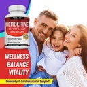 toplux-berberine-supplement-1800mg-berbe-6.jpg