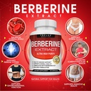 toplux-berberine-supplement-1800mg-berbe-3.jpg