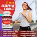 toplux-berberine-supplement-1800mg-berbe-4.jpg