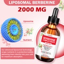 liposomal-berberine-hcl-supplement-liqui-4.jpg