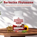 7-in-1-berberine-phytosome-with-ceylon-c-6.jpg