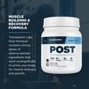 transparent-labs-post-post-workout-recov-4.jpg