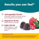 nature-made-wellblends-calm-mind-body-ma-3.jpg