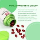 julydeer-astaxanthin-6-mg-per-serving-60-5.jpg