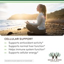 liposomal-glutathione-supplement-500mg-p-3.jpg