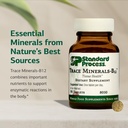 standard-process-trace-minerals-b12-thyr-3.jpg