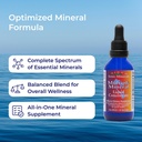 eidon-multiple-minerals-supplement-ionic-5.jpg