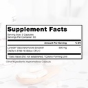 saccharomyces-boulardii-probiotics-10-bi-2.jpg