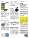 dr-ohhira-s-probiotics-daily-original-fo-4.jpg