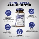 premium-magnesium-capsules-500mg-high-ab-3.jpg