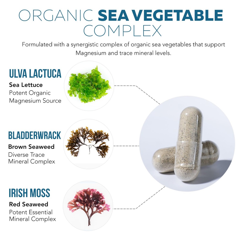 organic-whole-food-magnesium-supplement--3.jpg