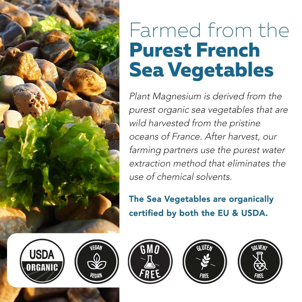 organic-whole-food-magnesium-supplement--6.jpg