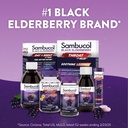 sambucol-black-elderberry-gummies---elde-6.jpg
